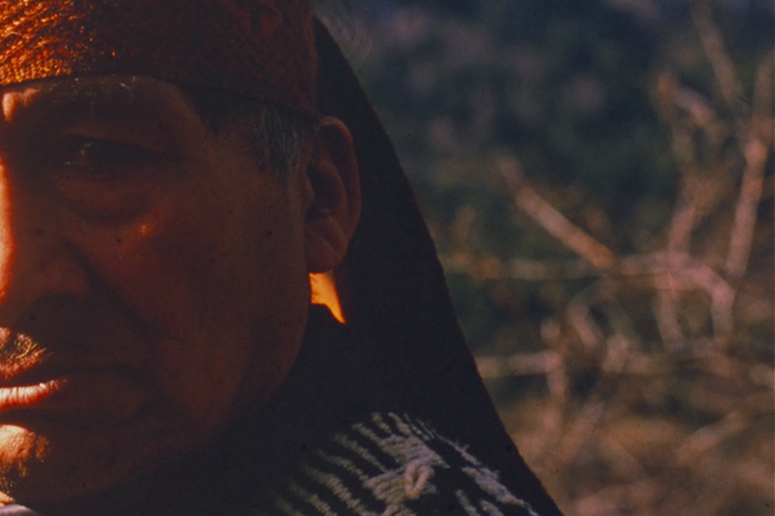 Consultas-indigenas-v5